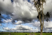 抵制票价上涨,曼联球迷组织1958呼吁球迷曼市德比后静坐抗议.