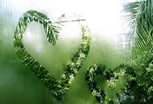 足协收到FIFA确认函 确认塞鸟可代表国足出战.