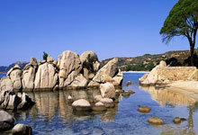 欧博:日本媒体报道乒乓球新星松岛辉空:他的目标是世界之巅.